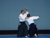 Toshiyuki Arai, Gunmaken Aikido Federation.