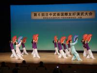 Показательные выступления на Фестивале. Китайские боевые искусства, тайдзицюань.